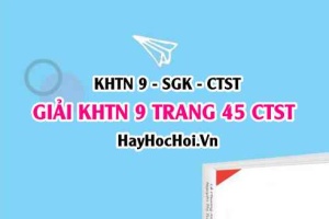 Giải KHTN 9 trang 45 Chân trời sáng tạo SGK